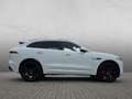 Jaguar F-Pace D300 AWD R-Dynamic SE bijela - thumbnail 6
