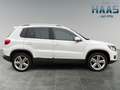 Volkswagen Tiguan Lounge Sport & Style 1. Hand Kamera Navi Blanc - thumbnail 6
