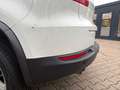 Volkswagen Tiguan Lounge Sport & Style 1. Hand Kamera Navi Blanc - thumbnail 24