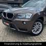 BMW X3 xDrive 20 d X Line Xenon AHK Navi Leder SHZ - thumbnail 6