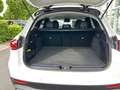 Mercedes-Benz GLC 200 4M Avantgarde/Energizing-P./Distronic/ Weiß - thumbnail 16