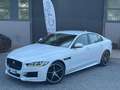 Jaguar XE 2.0 D 163 CV aut. R-Sport Bianco - thumbnail 1