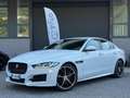 Jaguar XE 2.0 D 163 CV aut. R-Sport Bianco - thumbnail 2