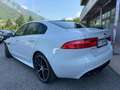 Jaguar XE 2.0 D 163 CV aut. R-Sport Bianco - thumbnail 5