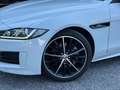 Jaguar XE 2.0 D 163 CV aut. R-Sport Bianco - thumbnail 4