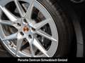 Porsche 992 911 Carrera InnoDrive Sportabgas BOSE 21-Zoll Schwarz - thumbnail 13