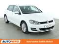 Volkswagen Golf 1.2 TSI Cup BMT*PDC*SHZ*KLIMA*GARANTIE* Weiß - thumbnail 8