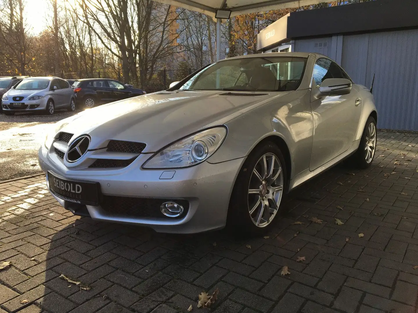 Mercedes-Benz SLK 300 V6 Roadster/Autom/Leder/Navi/Xenon/Tempo Срібний - 2