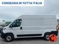 Fiat Ducato 35 2.3 MJT 140C-(PM-TM L2H2)SENSORI-FURGONE-E6 Biały - thumbnail 2