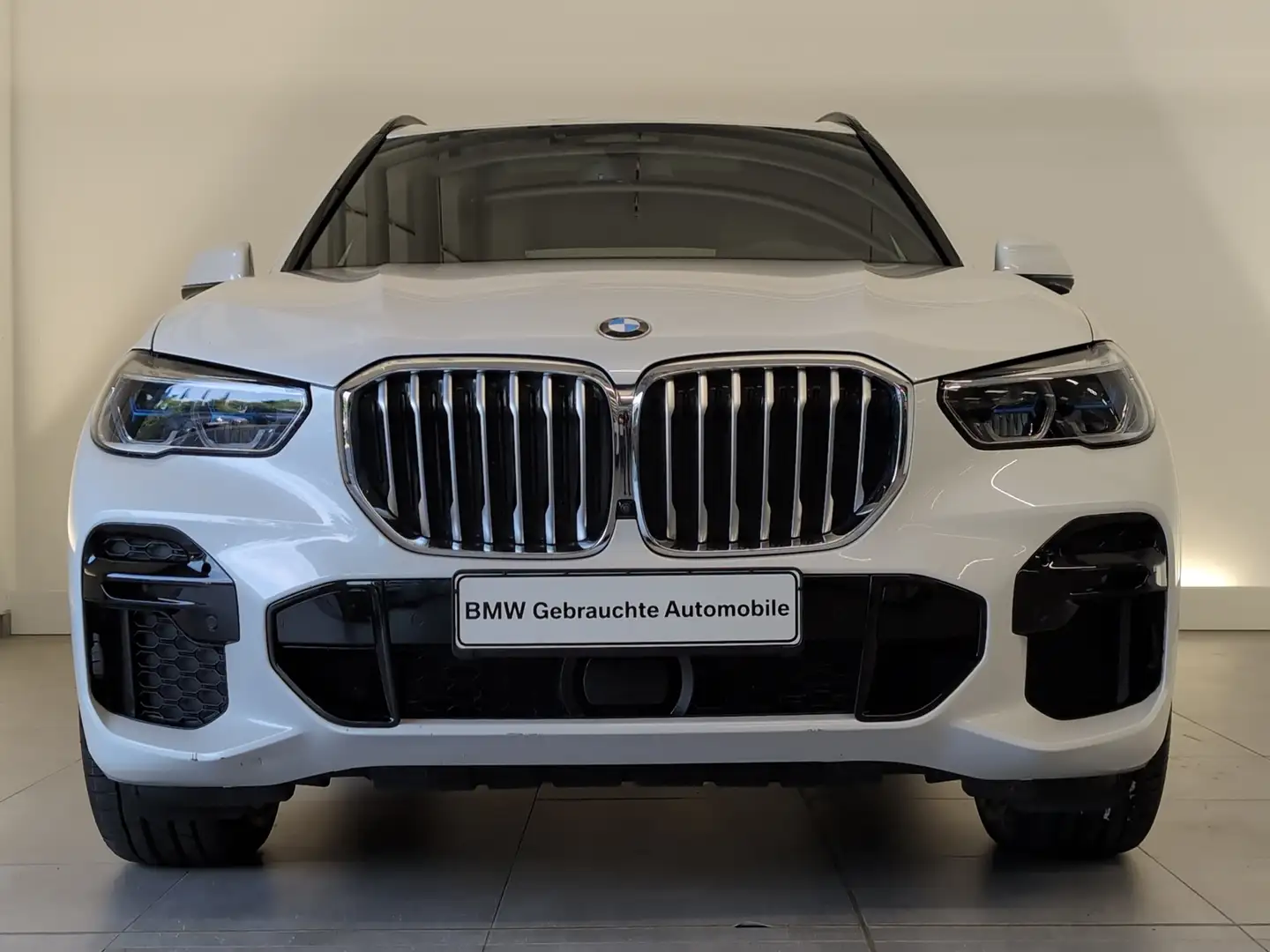 BMW X5 xDrive30d M Sportpaket DAB/HiFi/SHZ DAB/HiFi/SHZ Weiß - 2