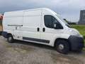 Fiat Ducato !!Motorschaden!! 100 (Rs: 4035 mm) L4 H2 Blanc - thumbnail 6