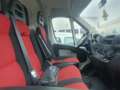 Fiat Ducato !!Motorschaden!! 100 (Rs: 4035 mm) L4 H2 Blanc - thumbnail 9