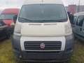 Fiat Ducato !!Motorschaden!! 100 (Rs: 4035 mm) L4 H2 Blanc - thumbnail 3