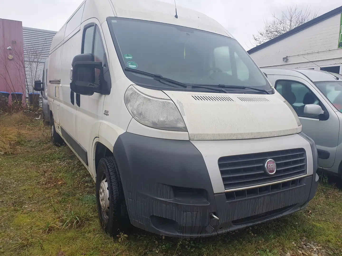 Fiat Ducato !!Motorschaden!! 100 (Rs: 4035 mm) L4 H2 Blanc - 2