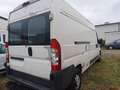 Fiat Ducato !!Motorschaden!! 100 (Rs: 4035 mm) L4 H2 Blanc - thumbnail 4