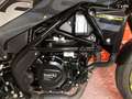 Benelli Leoncino 250 Grigio - thumbnail 6