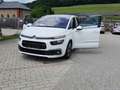 Citroen C4 Picasso BHDI 120 EAT6 Feel Edition Weiß - thumbnail 28