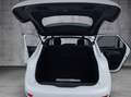 Citroen C4 Picasso BHDI 120 EAT6 Feel Edition Weiß - thumbnail 19