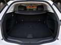 Renault Megane S.T. 1.5dCi Blue Zen 85kW Blanco - thumbnail 9