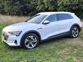 Audi e-tron e-tron 50 Business quattro cvt Bianco - thumbnail 8