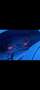 Audi A3 1.6 Ambiente - thumbnail 10