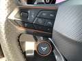 CUPRA Formentor 2.0 TSI 4Drive VZ BEATS+AHK+RFK+KESSY Grau - thumbnail 36