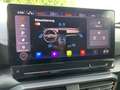 CUPRA Formentor 2.0 TSI 4Drive VZ BEATS+AHK+RFK+KESSY Grau - thumbnail 41
