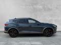 CUPRA Formentor 2.0 TSI 4Drive VZ BEATS+AHK+RFK+KESSY Grau - thumbnail 6