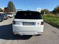Land Rover Range Rover Sport Range Rover Sport 3.0 TDV6 SE Bianco - thumbnail 4