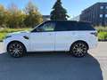 Land Rover Range Rover Sport Range Rover Sport 3.0 TDV6 SE Bianco - thumbnail 6