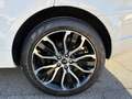 Land Rover Range Rover Sport Range Rover Sport 3.0 TDV6 SE Bianco - thumbnail 12