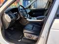 Land Rover Range Rover Sport Range Rover Sport 3.0 TDV6 SE Bianco - thumbnail 14