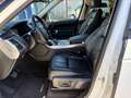 Land Rover Range Rover Sport Range Rover Sport 3.0 TDV6 SE Bianco - thumbnail 15