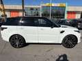 Land Rover Range Rover Sport Range Rover Sport 3.0 TDV6 SE Bianco - thumbnail 5