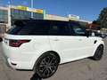 Land Rover Range Rover Sport Range Rover Sport 3.0 TDV6 SE Bianco - thumbnail 7
