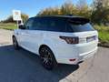 Land Rover Range Rover Sport Range Rover Sport 3.0 TDV6 SE Bianco - thumbnail 8