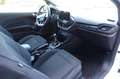 Ford Fiesta ST-Line Klima, Winterpaket,PDC,Pano,Top Bianco - thumbnail 17