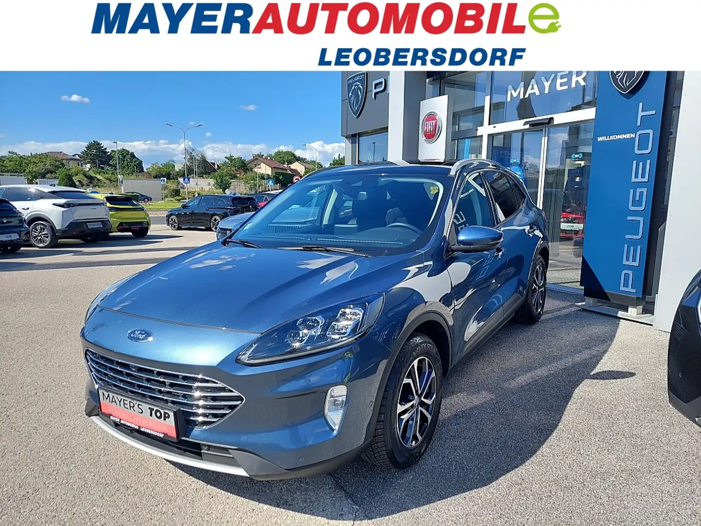 Ford Kuga 2,0 EcoBlue Hybrid Titanium X Blau - 1