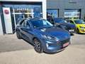 Ford Kuga 2,0 EcoBlue Hybrid Titanium X Blau - thumbnail 3