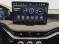 Skoda Superb Sportline TDI DSG Grau - thumbnail 12