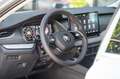 Skoda Octavia Combi 1.5 TSI MHEV Business Edition | Matrix LED | Argent - thumbnail 13