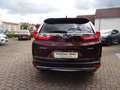 Honda CR-V 1.5T 4WD Lifestyle Braun - thumbnail 5