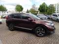 Honda CR-V 1.5T 4WD Lifestyle Braun - thumbnail 3