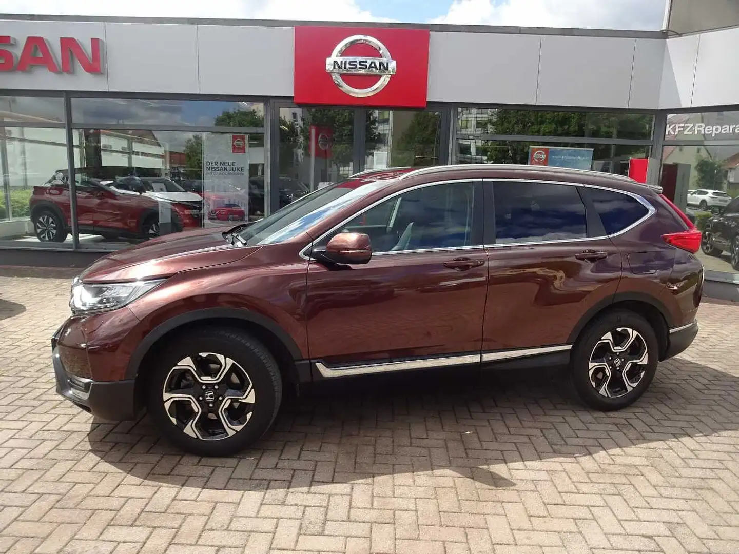 Honda CR-V 1.5T 4WD Lifestyle Braun - 1