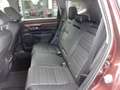Honda CR-V 1.5T 4WD Lifestyle Braun - thumbnail 11