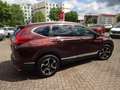 Honda CR-V 1.5T 4WD Lifestyle Braun - thumbnail 4