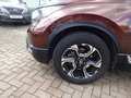 Honda CR-V 1.5T 4WD Lifestyle Braun - thumbnail 7