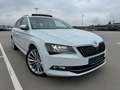 Skoda Superb Superb Combi 2.0 TDI Style 4x4 DSG Weiß - thumbnail 1