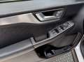 Ford Kuga Kuga  phev Titanium 2wd Bianco - thumbnail 12