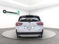 Ford Kuga Kuga  phev Titanium 2wd Bianco - thumbnail 6